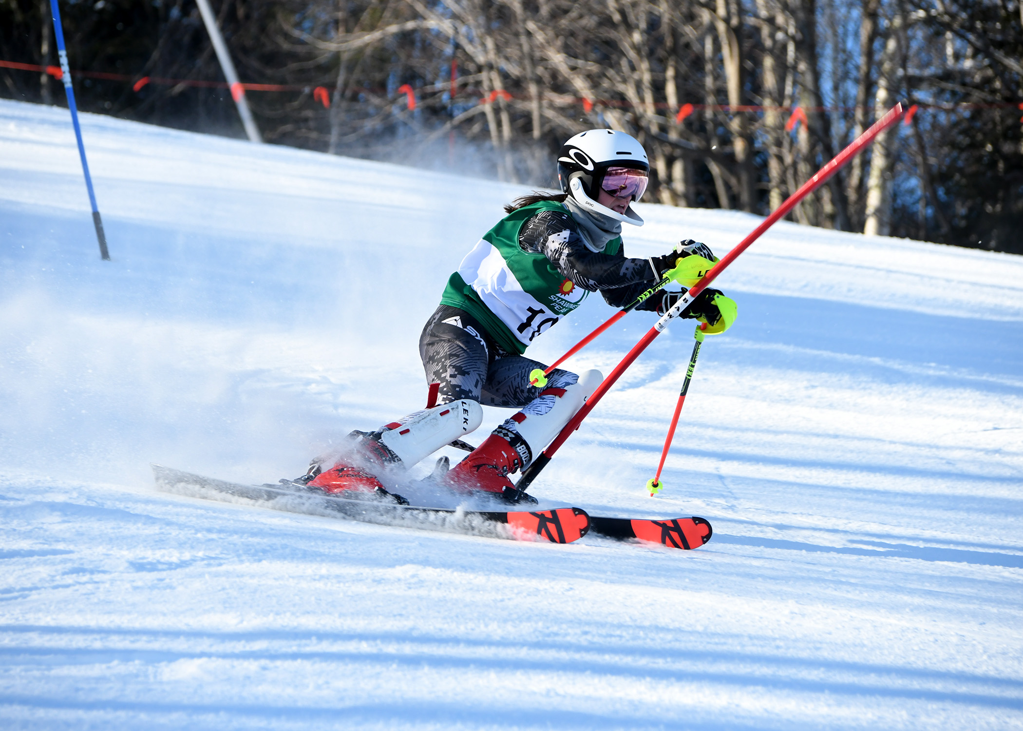 TAYLOR GORDON MT BLUE